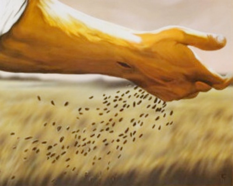 LITURGIA Octubre 6 Por la obediencia de la fe se viene realizando el proyecto de Dios