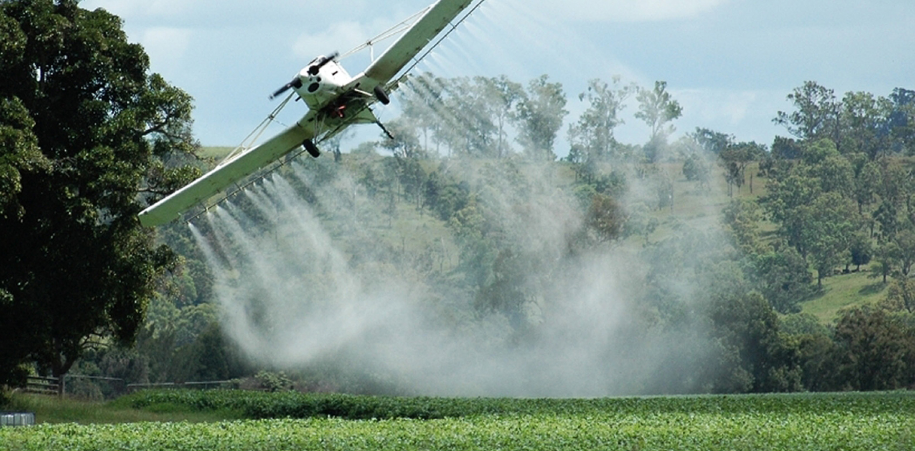 Obispos de Colombia y Ecuador se manifiestan contra las fumigaciones