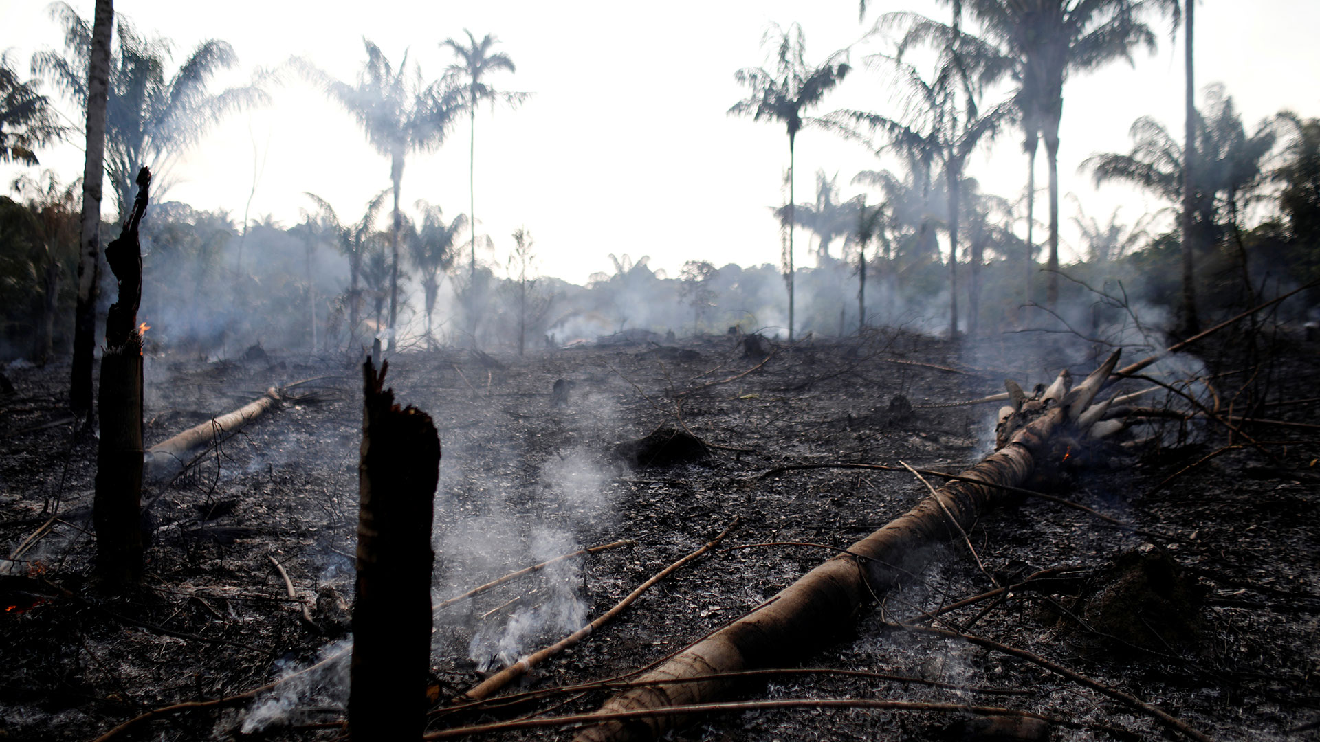 Los religiosos de la CLAR también claman: “¡No a la destrucción de la Amazonía!”