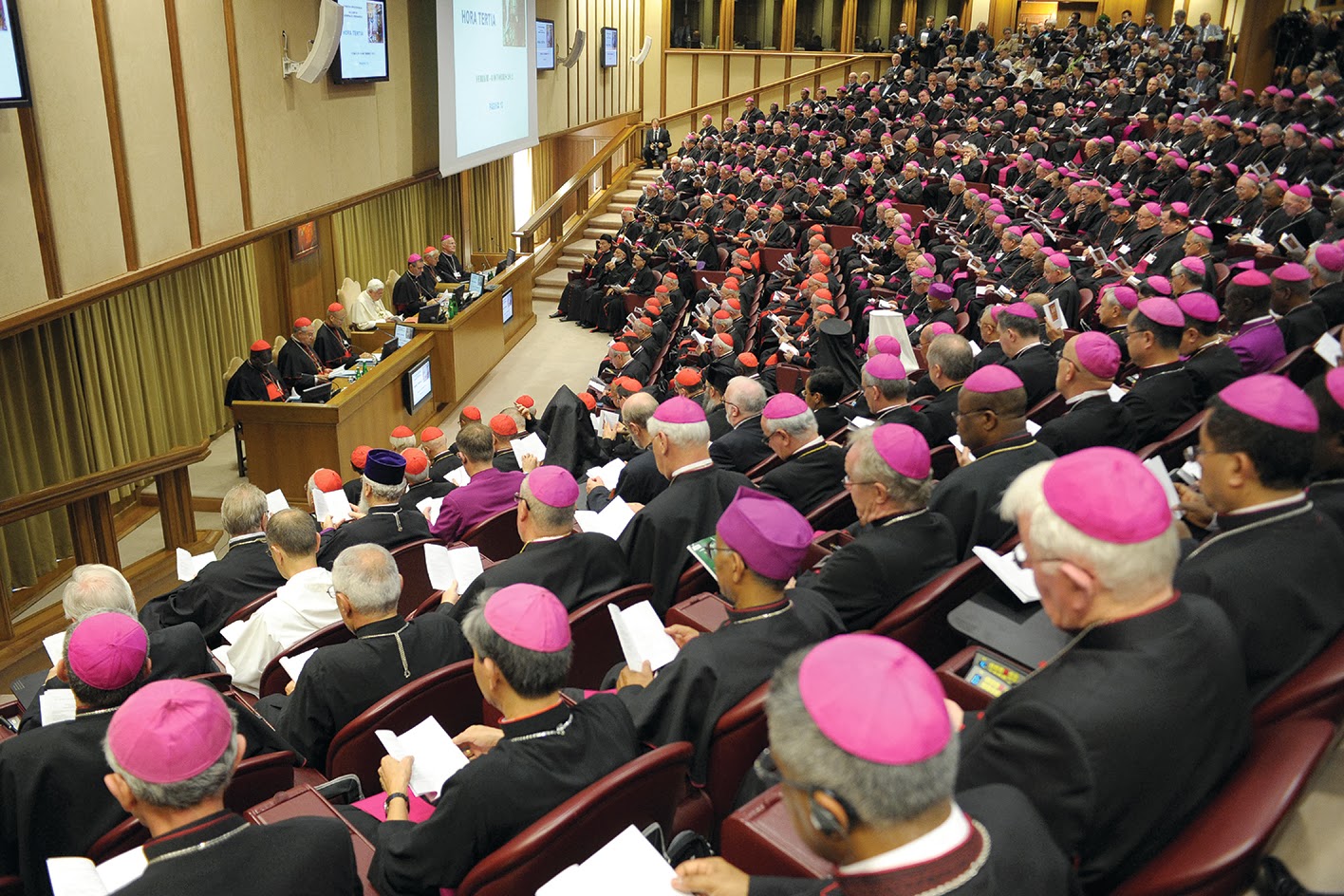 La Iglesia, Como madre amorosa protege a sus hijos