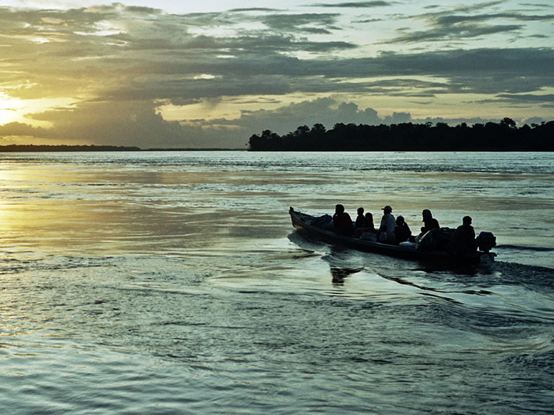 Querida Amazonia