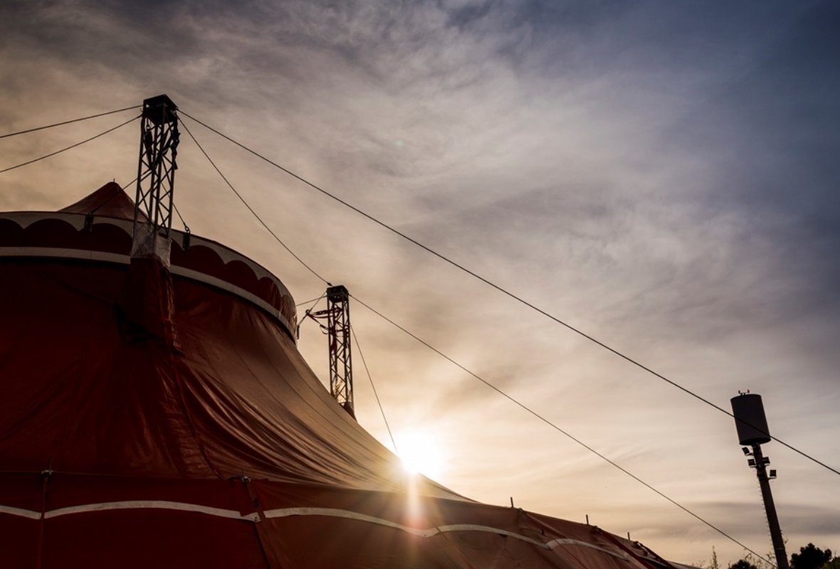 Circo