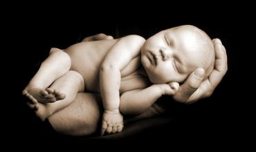 https://arquimedia.s3.amazonaws.com/2/editorial/prolifejpeg.jpeg