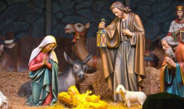 Gran pesebre en Vivo - Catedral Primada de Colombia